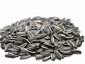 ������ ����� ����� ��� �� ������ ����� 25 �"�