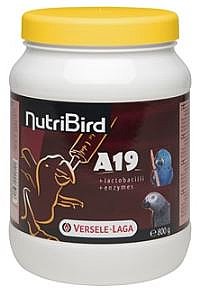 ����� ������� �� ����� ��� ���� ����� A19 ����� 800 ��'