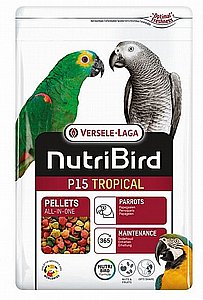 ������� ����� ���� ����� P15 ����� 1 �"�