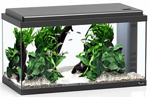 �������� ����� ������� 60 ����