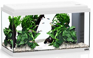 �������� ����� ������� 60 ���