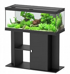 ������� ����� �� ����