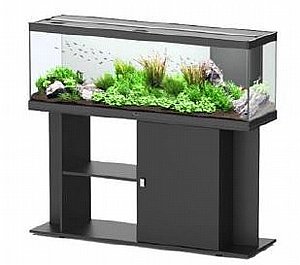 ������� ����� ����� �� ���� 40*120