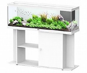 ������� �������� ����� �� ��� 40*120