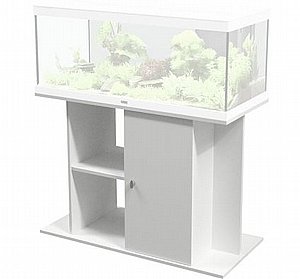 ������� �������� ����� �� ���