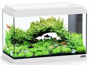 �������� ����� ������� 50 ���