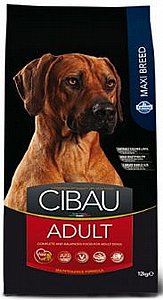 ���� ���� ���� ���� ���� ����� ���� 12 �"�