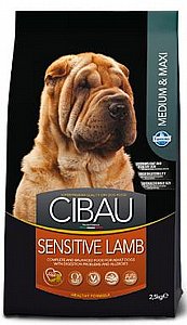 ���� ���� ���� ���� ������ ����� ����� ������ ��� 12 �"�