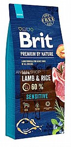 ���� ��� ����� ���� ������ ������ 15 �"�