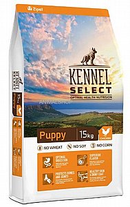 ���� ���� ���� ����� ����� 15 �"�