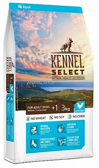 ���� ���� ��� ���� ������ ������ 15 �"�