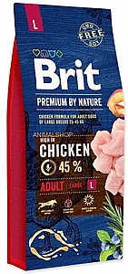 ���� ����' ���� ������ ���� ���� 15 �"�