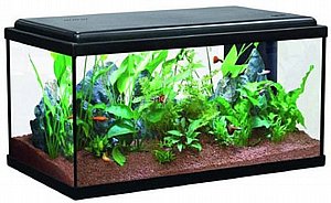 11�������� ����� ������� 50 ����