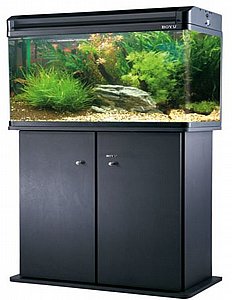 11�������� + ����� LED ���� EA-80E ���� 80 �"� (����)