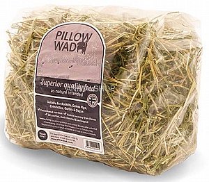 ���� ������ ���� �������� 500 ��� 