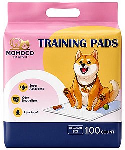 MOMOCO ���� ������ ����� ������ ��� 100 ��'