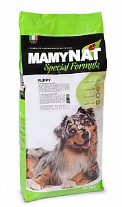 ������ ���� ���� ����� ����� 20 �"�