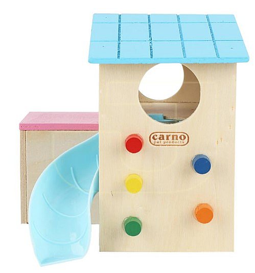 ��� �� ����� �� ����� ������� carno