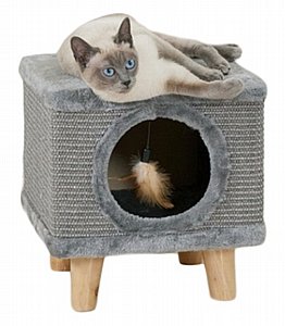 ���� ����� LZ0189 ��� ���� �����