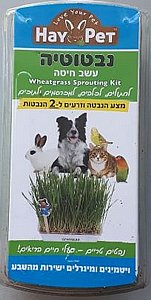 הייפט נבטוטית כלי לגידול דשא הנבטה כפולה הייפט נבטוטית כלי לגידול דשא הנבטה כפולה