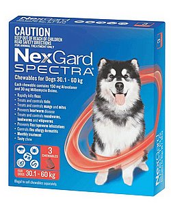 ������ ������� ������ ��� ������� ������� ���� ����� 15-30 �"�