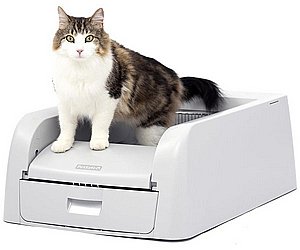 ������ ������� ��������� ������ scoopfree ���� ��� ��� 2.0