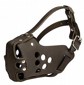 ����� ��� ������ ������ ����� ����� �����