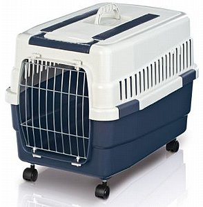 ���� ����� + ������ ����/���� IMAC ��� ���� 60 �"� ����� �����