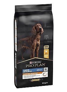 ���� ��� ������ ������ ���� ��� ����� ��� ���� ����� ��� ����� ������ 14 �"�