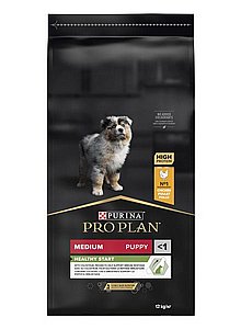 ���� ��� ����� ����� ���� ������ ��� ���� ����� ����� 12 �"�