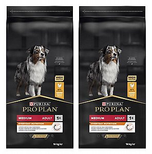 ��� 2 ���� ��� ���� ���� ��� 14 �"�