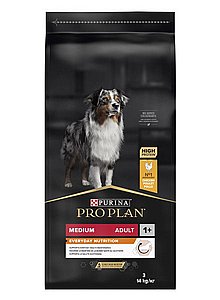 ���� ��� ������ ������ ���� ������ ��� ���� ����� ����� ��� 14 �"�