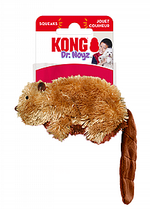 ���� KONG ���� ������ ����� ���� ���� S