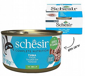 ���� ���� ���� ����� (013)