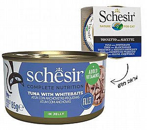 ���� ���� ���� �� ������ ����� ����� (037)