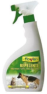 ����� ����� ������� ������ ������ - FLOWER ���� 600 �"�