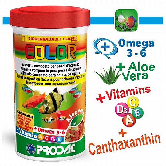 ����� ���� COLOR ���� ��� ����� ������� 250 �"�