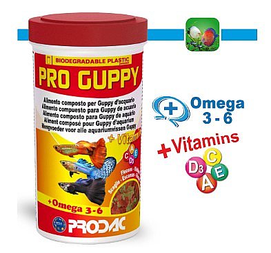 ����� �������  PRO GUPPY ���� ���� ����