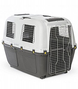 ����� 8 ���� ���� ���� ����� 118 �"�