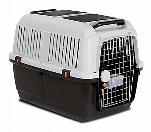 ����� 5 ���� ���� �� ��� ���� 80 �"�