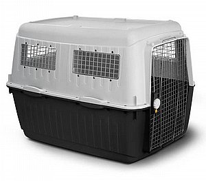 ���� ���� ����� 6 - BRACCO (��� ������) ���� 92 �"�