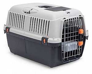 ���� ���� ����� 3 - BRACCO ��� ������ ���� 59 �"�