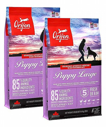 ��� 2 �� ������ ���� ������  ��� ���� 11.4 �"� ORIJEN