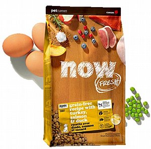 מזון לגורי כלבים ללא דגנים נאו הודו סלמון וברווז - NOW PUPPY במשקל 2.7 ק"ג מזון לגורי כלבים ללא דגנים נאו הודו סלמון וברווז - NOW PUPPY במשקל 2.7 ק"ג