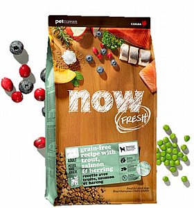 ���� ����� ���������� ��� ����� ��� ���� ������ ���� ���� ���� - NOW ����� 5.4 �"� 