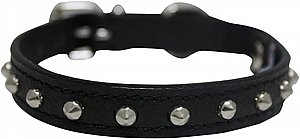 ���� ��� �� ����� 15 �"� �����