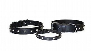 קולר עור עם ניטים 65 ס"מ אמיתי קולר עור עם ניטים 65 ס"מ אמיתי