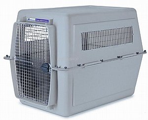 ���� ���� ���� ������ �'���� XXL ���� 122 �"�