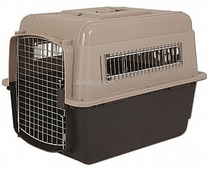 11���� ���� ���� ������ 7 ���� 100 �"�