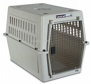 ���� ���� ���� ������ 6 L ���� 91 �"�